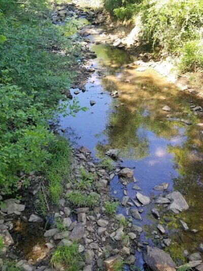 Michael J & Mary Meech MUNGO PARK - Columbia, SC