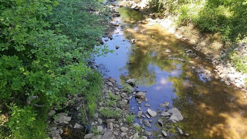 Michael J & Mary Meech MUNGO PARK - Columbia, SC