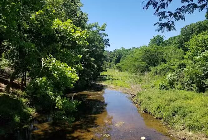 Michael J & Mary Meech MUNGO PARK - Columbia, SC