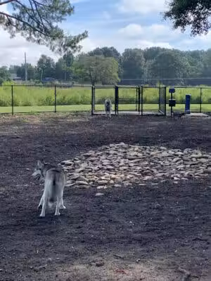 Page Ellington Park Dog Park - Columbia, SC