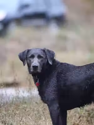 Saluda Riverwalk - Columbia, SC