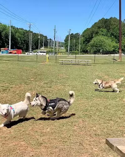 Saluda Shoals Park - Columbia, SC