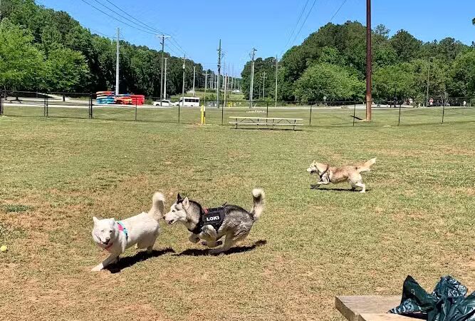 Saluda Shoals Park - Columbia, SC