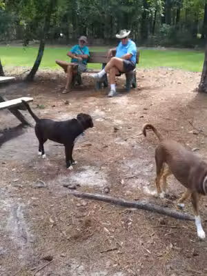 Sesqui State Park Dog Park - Columbia, SC