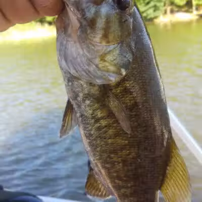Fishing Parking - Columbiaville, MI
