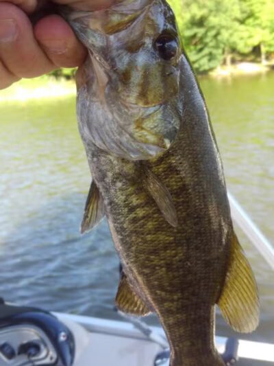 Fishing Parking - Columbiaville, MI