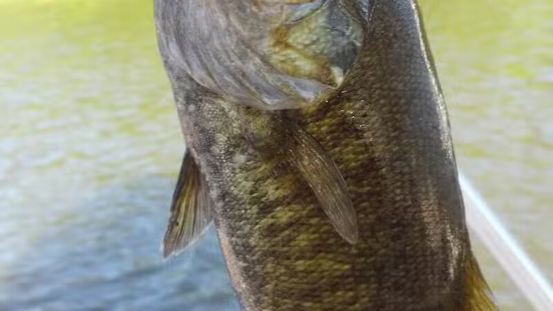 Fishing Parking - Columbiaville, MI