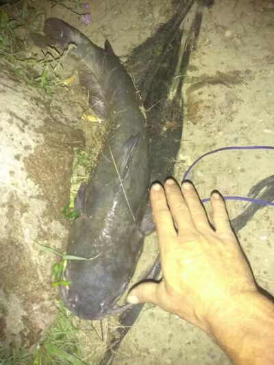 Fishing Parking - Columbiaville, MI