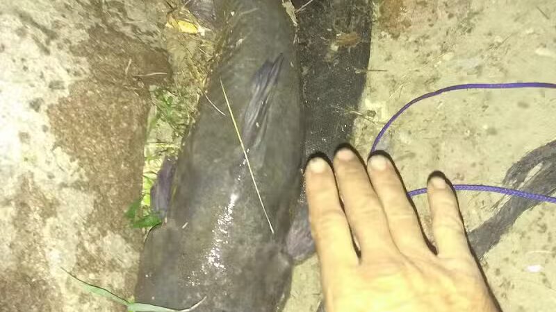 Fishing Parking - Columbiaville, MI