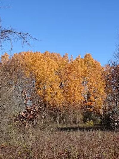 Fishing Parking - Columbiaville, MI