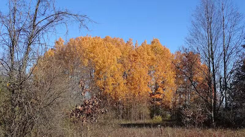 Fishing Parking - Columbiaville, MI