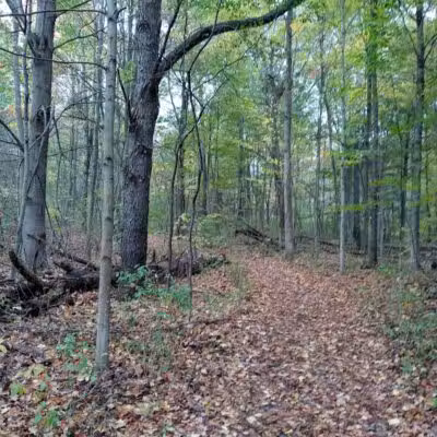 Zemmer Park - Columbiaville, MI