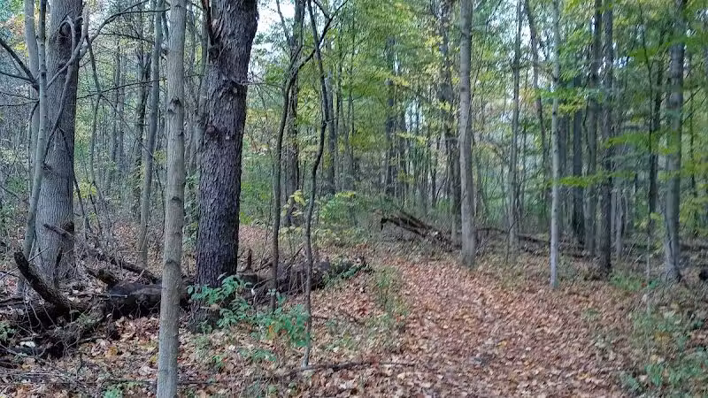 Zemmer Park - Columbiaville, MI