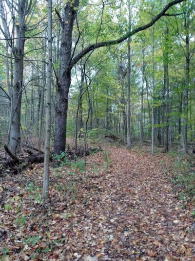 Zemmer Park - Columbiaville, MI