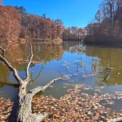 Zemmer Park - Columbiaville, MI
