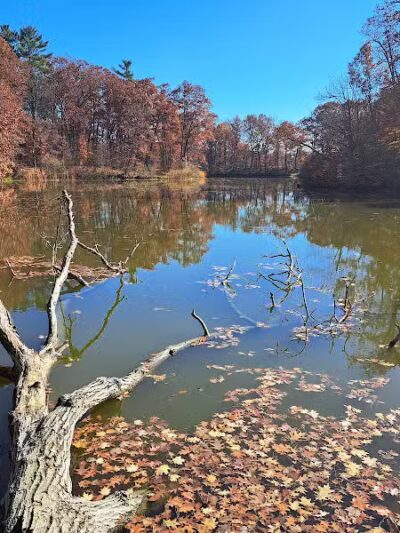 Zemmer Park - Columbiaville, MI