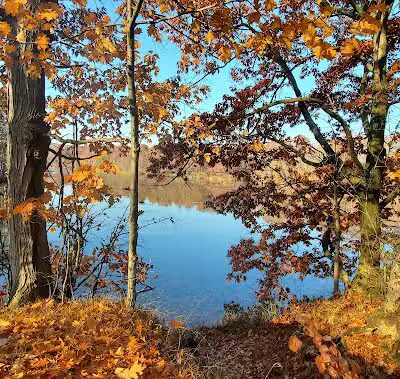 Zemmer Park - Columbiaville, MI