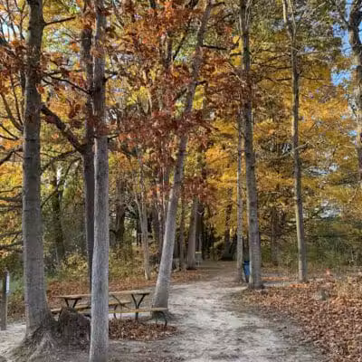 Columbus County Park - Columbus,