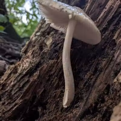 Columbus County Park - Columbus,