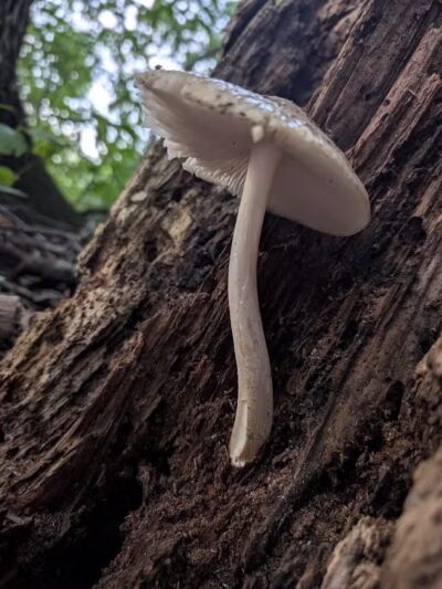 Columbus County Park - Columbus,