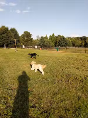 Columbus City Dog Park - Columbus, GA