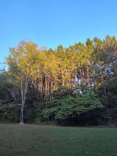 Grouse Ridge Public Fishing Area - Columbus, IN