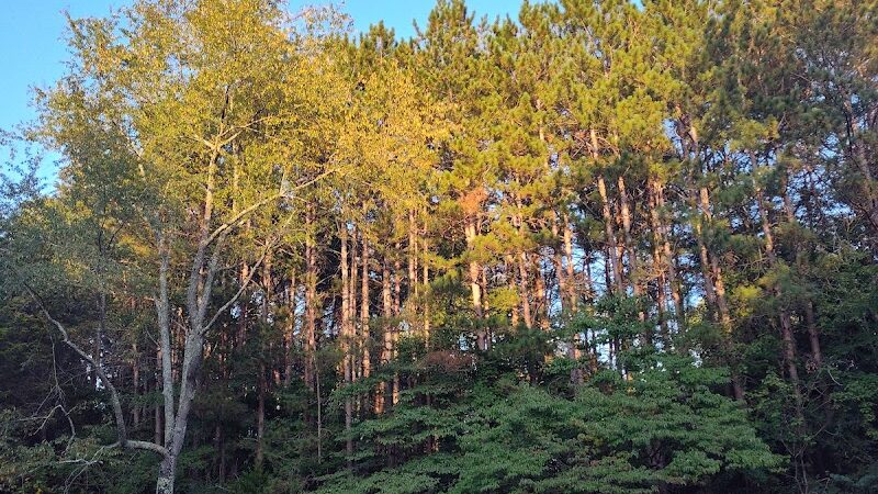 Grouse Ridge Public Fishing Area - Columbus, IN