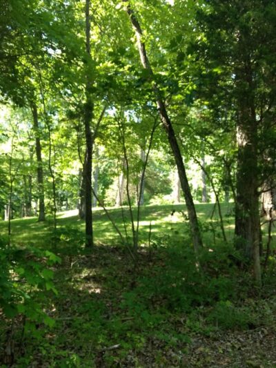 Grouse Ridge Public Fishing Area - Columbus, IN