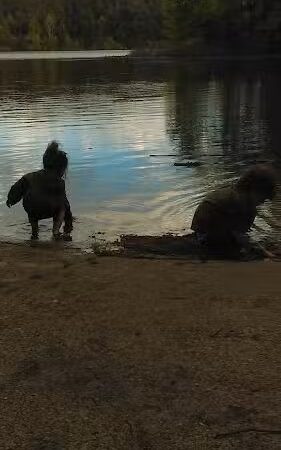 Grouse Ridge Public Fishing Area - Columbus, IN