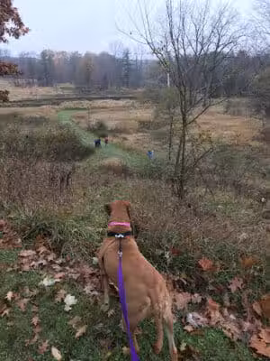 Columbus County Park - Columbus,