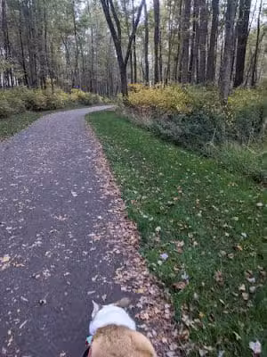 Mansfield Township Community Park - Columbus, NJ