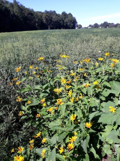 Mansfield Township Community Park - Columbus, NJ