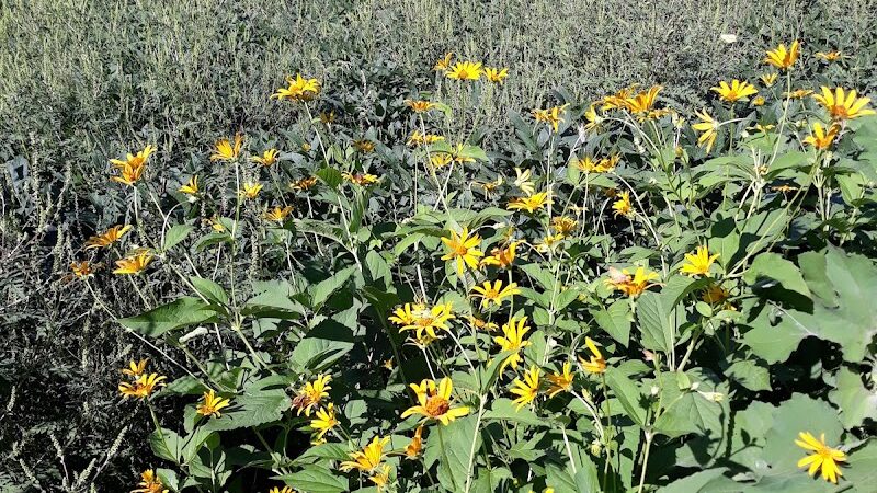 Mansfield Township Community Park - Columbus, NJ