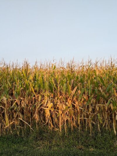 Mansfield Township Community Park - Columbus, NJ