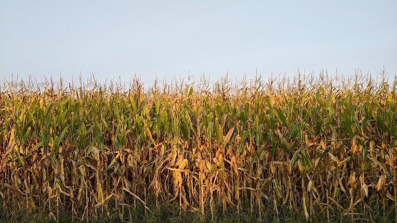 Mansfield Township Community Park - Columbus, NJ