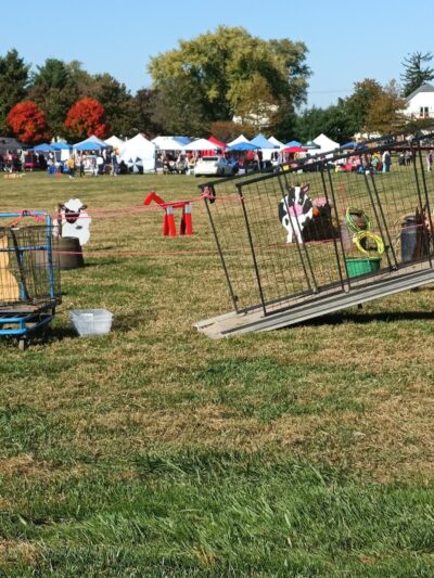 Mansfield Township Community Park - Columbus, NJ