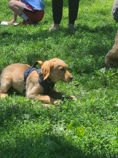 Godown Park - Columbus, OH