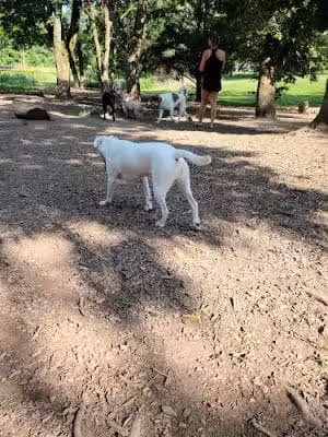 Godown Park - Columbus, OH