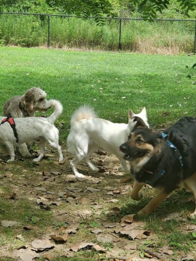 Godown Park - Columbus, OH