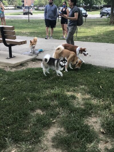 Godown Park - Columbus, OH