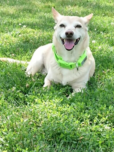 Godown Park - Columbus, OH