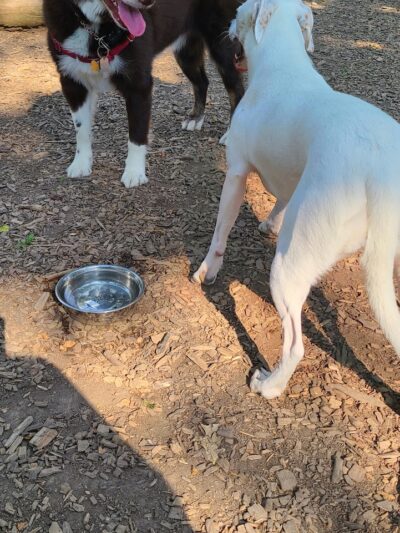 Godown Park - Columbus, OH