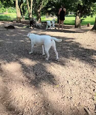 Godown Park - Columbus, OH