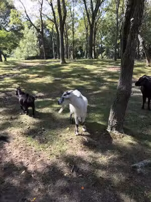 Hoyt Farm Nature Preserve - Commack, NY