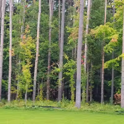 Dodge Park #5 - Commerce Township, MI