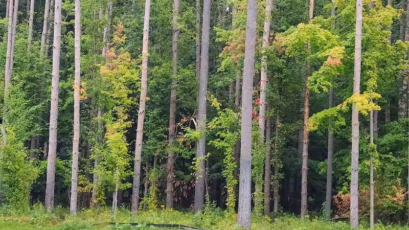 Dodge Park #5 - Commerce Township, MI