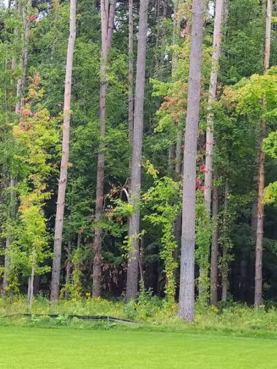 Dodge Park #5 - Commerce Township, MI