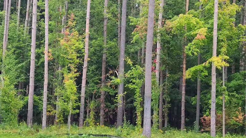 Dodge Park #5 - Commerce Township, MI