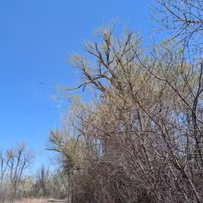 Hiking Trailhead - Commerce Township, MI