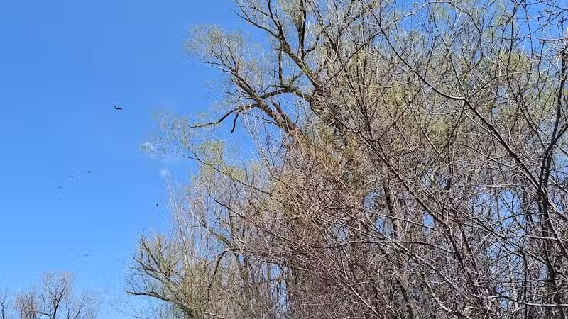 Hiking Trailhead - Commerce Township, MI